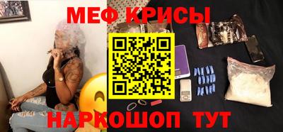 молекула духа Кингисепп