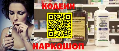 молекула духа Кингисепп
