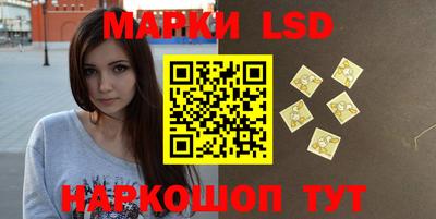 молекула духа Кингисепп