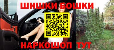 молекула духа Кингисепп