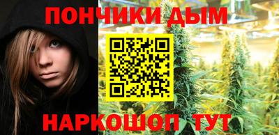 молекула духа Кингисепп