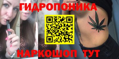 молекула духа Кингисепп