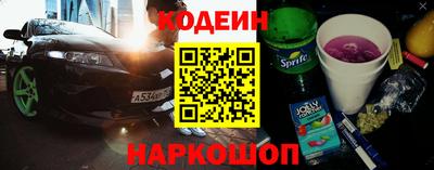 молекула духа Кингисепп