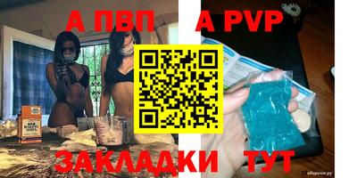 молекула духа Кингисепп