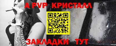молекула духа Кингисепп