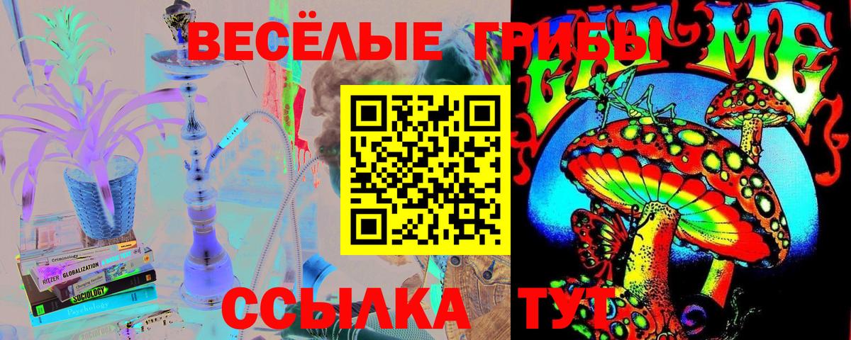 что такое наркотик  Вход с VPN  Коряжма  Галлюциногенные грибы MAGIC MUSHROOMS  Галлюциногенные грибы GOLDEN TEACHER 