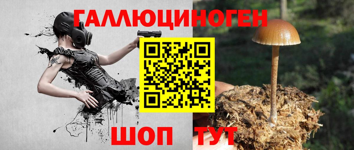 Галлюциногенные грибы мухоморы Коряжма